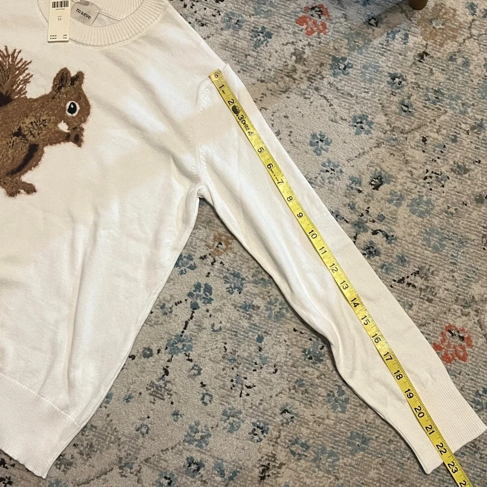 NWT Anthro Maeve Textured Squirrel Icon Sweater - Picture 10 of 16